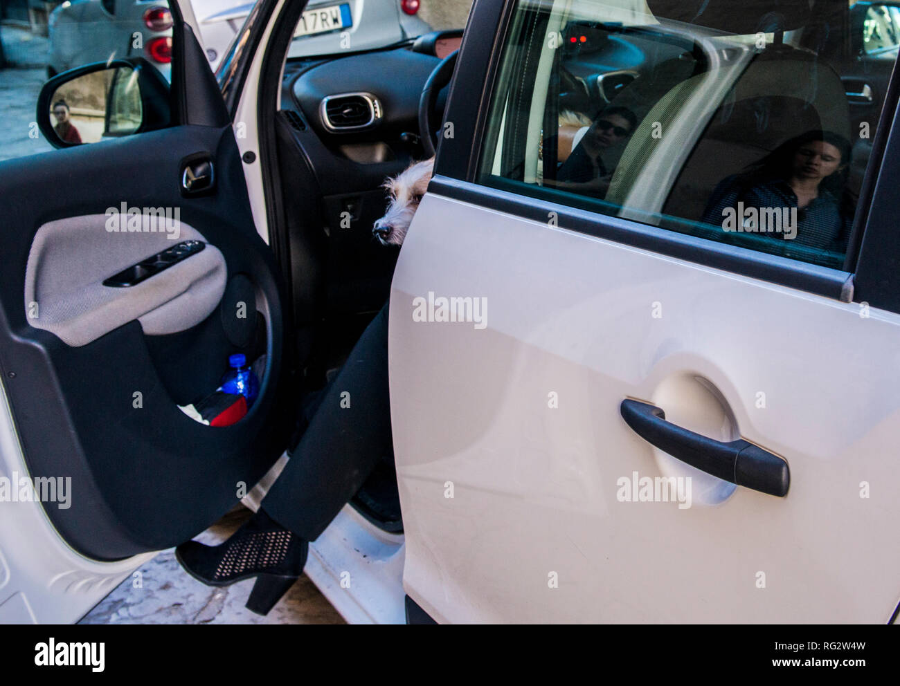 Frau aus Auto, Hund, nur den Hund und die Beine der Frau zeigen, Reflexion von Passanten in Auto Fenster, Palermo, Sizilien, Italien Stockfoto