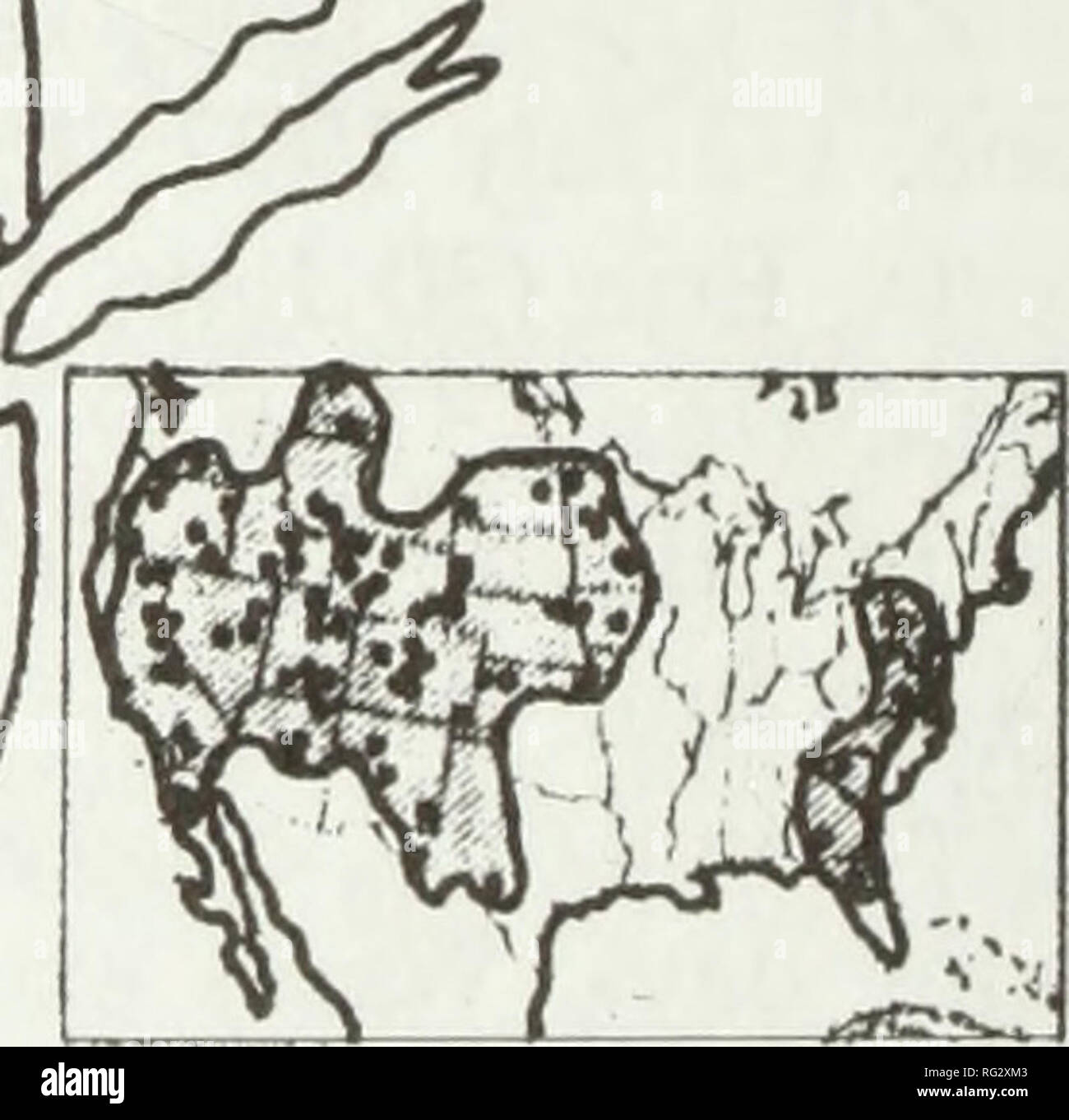 . Die kanadische Feld - naturforscher. Natural History; Baron. Die kanadische Field-Naturalist Vol. 119 sylvania State University für den Nordosten der Vereinigten Staaten. Wetterinformationen für Canadian Forces Base Bor-den, Ontario von der Basis und in der Nähe von Angus Wetterstationen nicht verfügbar war, da sie nicht funktionsfähig waren. Um die Bedingungen für unsere Forschung Website simulieren (Breitengrad 44° 16' N, 79° 55' W, Höhe 221 m) für Mai-juni 1996-1999, wir Temper - atures von Wetterstationen innerhalb von 15 km von der Basisstation erhalten: Alliston Nelson (Breitengrad 44° 9' N, 79° 52' W, ele Stockfoto