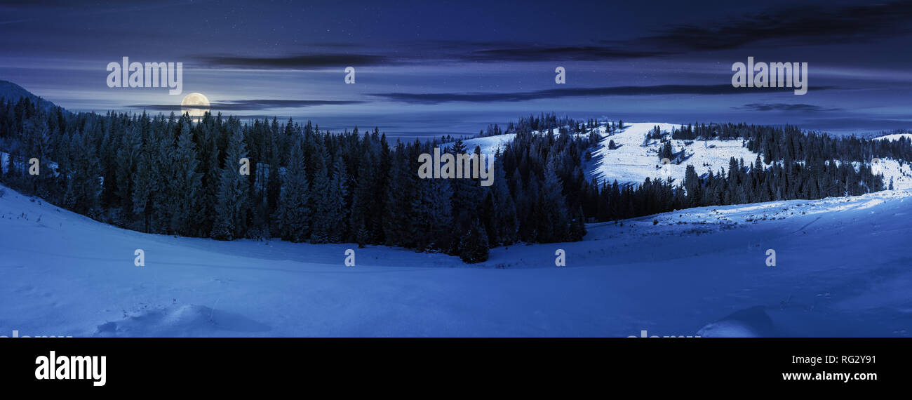 Panorama einer Winterlandschaft bei Nacht in voller Mond Licht. Fichtenwald auf einem schneebedeckten Hügeln. ein Teil der Bäume in den Schatten. Wunderbare nat Stockfoto