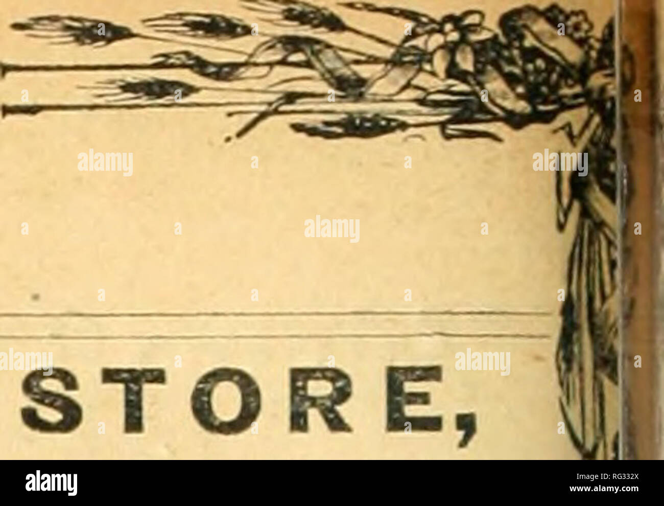 . Kalifornien Landwirt und Live stock Journal. Landwirtschaft - Kalifornien; Nutztiere - Kalifornien; Tier Industrie - Kalifornien. Kalifornien Landwirt und Live Stock Journal. Die Wahrheit über die davi VEKTICAIi FEEB SHUTTLE imn Maschine. G STORE, 266 Santa Clara, San Jose. Bitte beachten Sie, dass diese Bilder sind von der gescannten Seite Bilder, die digital für die Lesbarkeit verbessert haben mögen - Färbung und Aussehen dieser Abbildungen können nicht perfekt dem Original ähneln. extrahiert. San Jose Stockfoto