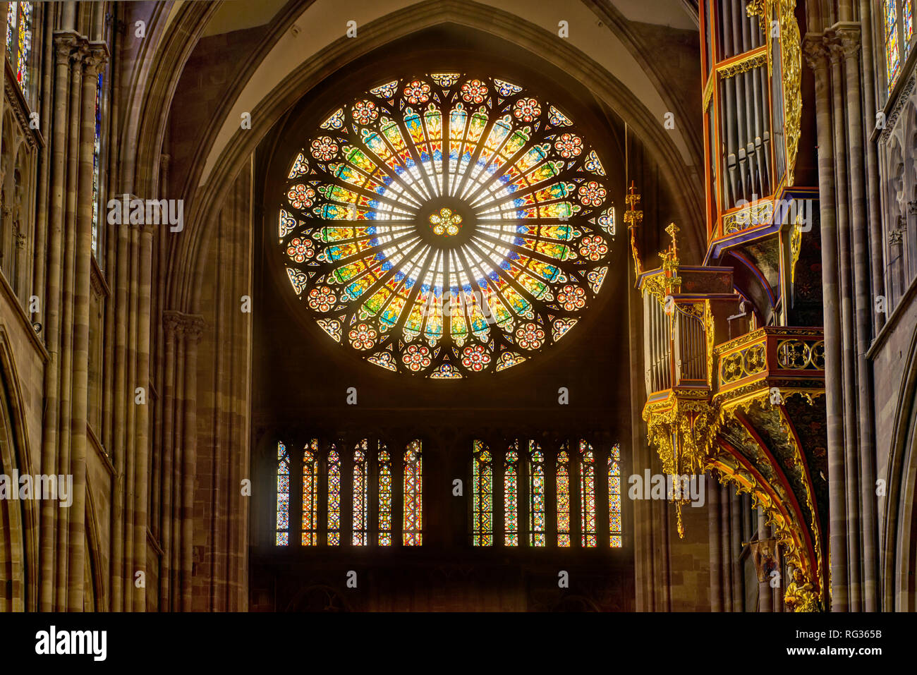 Die farbenprächtige Rosette im Inneren der Kathedrale von Straßburg, Frankreich Stockfoto