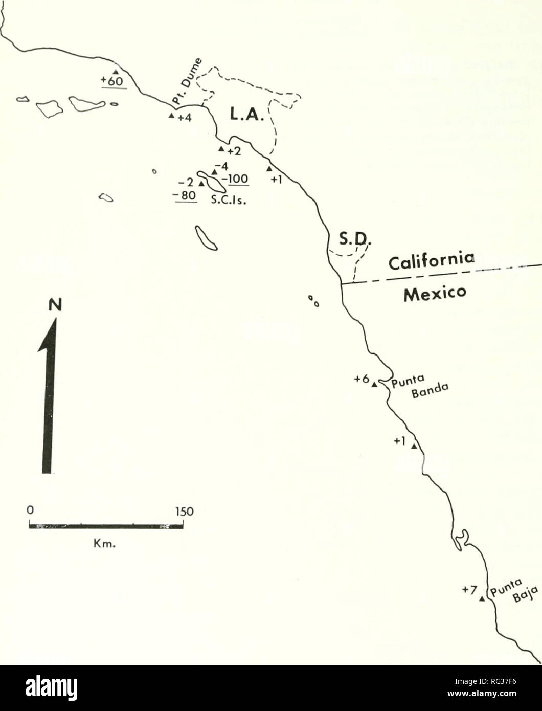 . Kalifornien Fisch und Wild. Fischerei - Kalifornien; Spiel und Spiel - Vögel - Kalifornien; Fische - Kalifornien; Tier Bevölkerungsgruppen; Pêches; Gibier; Poissons. L 92 KALIFORNIEN PISH und GAMK sowie erhaltene Ei - Fälle in der Scripps Institution der Oceanogra-phy Museum untersucht wurden. Die Proben der Haie für die morphometrische Vergleich gemessen kam vom Festland Seite von Santa Catalina Island, in oder in der Nähe der Landenge Cove, und aus der Gegend von Poinl Dume, etwa 10 km nördlich von k'"s Angeles auf tlie Festland (Abbildung 1). Beide Proben wurden Meas-CaUfornia Mexiko. o D A-2 Isla Guadalupe FI Stockfoto