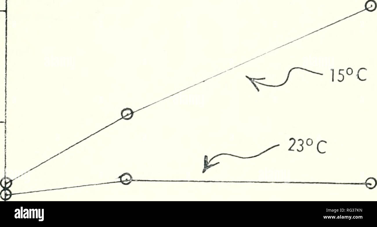 . Kalifornien Fisch und Wild. Fischerei - Kalifornien; Spiel und Spiel - Vögel - Kalifornien; Fische - Kalifornien; Tier Bevölkerungsgruppen; Pêches; Gibier; Poissons. Empfindlichkeit der gestreiften Baß und STICHLINGE 149 O X O CO LJJ U zz. - 15 1 10 15 - T10_STICHLINGE. 10 STRIPED BASS 20 30> r^i 5°C 23°C 10 20 30 ~ 1 40 40 SALZGEHALT ABBILDUNG 4. Das Verhältnis zwischen Toxizität und der Salzgehalt bei 15 C und 23 C für gestreiften Baß und Stichlinge. 3 - 81824. Bitte beachten Sie, dass diese Bilder aus gescannten Seite Bilder, die digital für die Lesbarkeit verbessert haben mögen - Färbung und das Aussehen von extrahiert werden Stockfoto