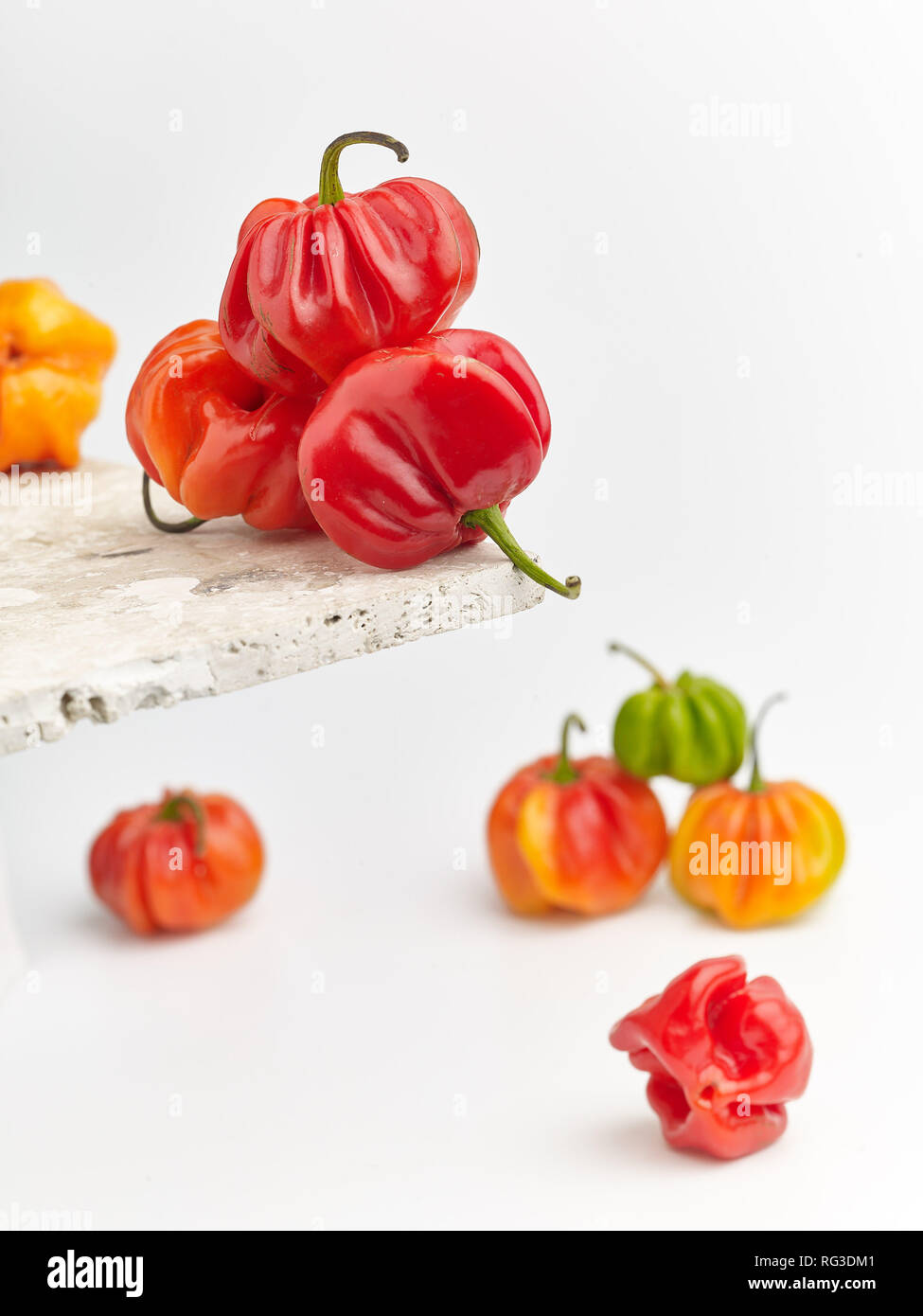 Bunte Scotch Bonnet Chili, Essen still life Foto Stockfoto