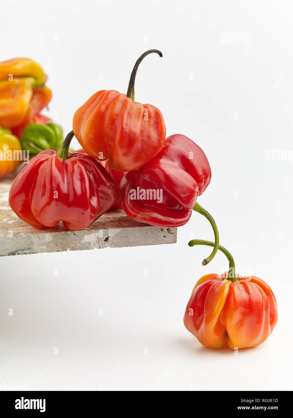 Bunte Scotch Bonnet Chili, Essen still life Foto Stockfoto