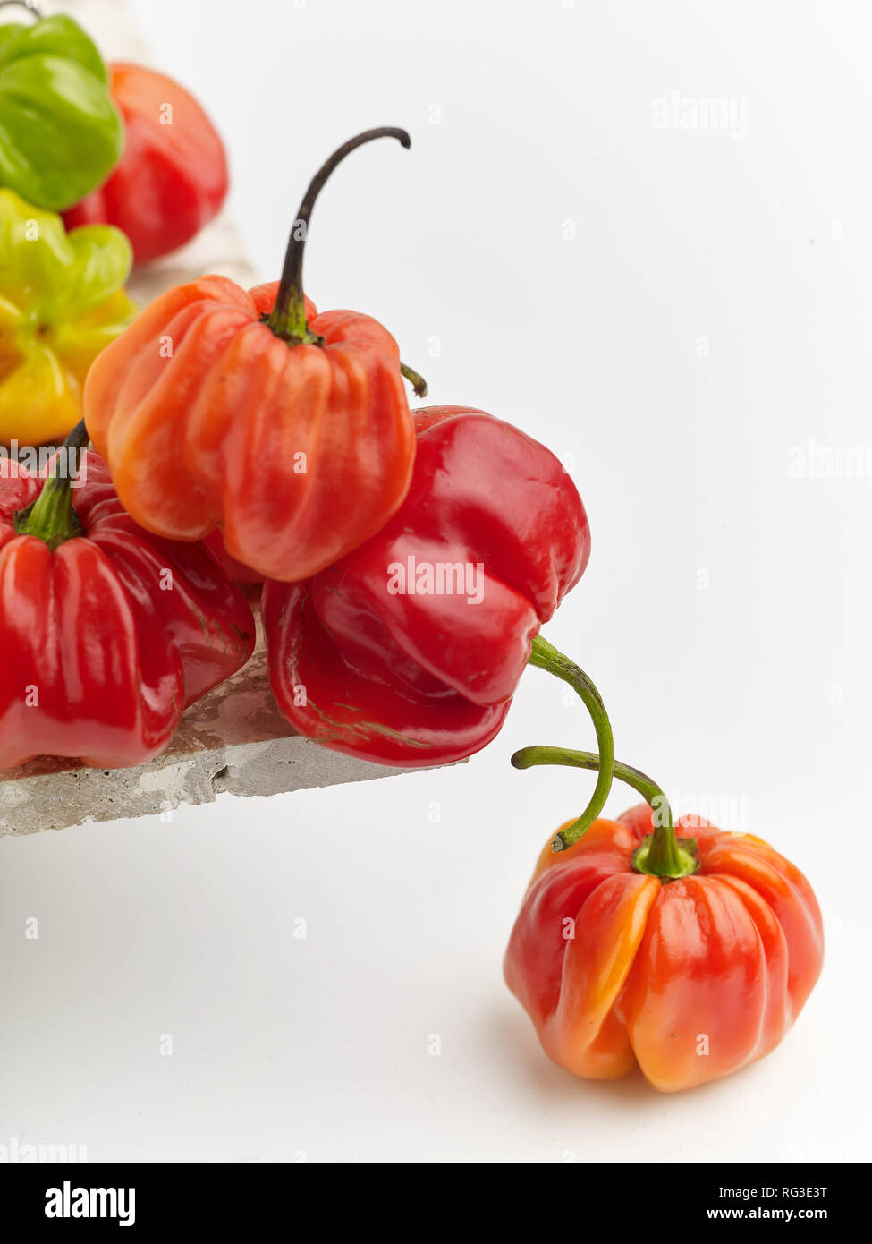 Bunte Scotch Bonnet Chili, Essen still life Foto Stockfoto