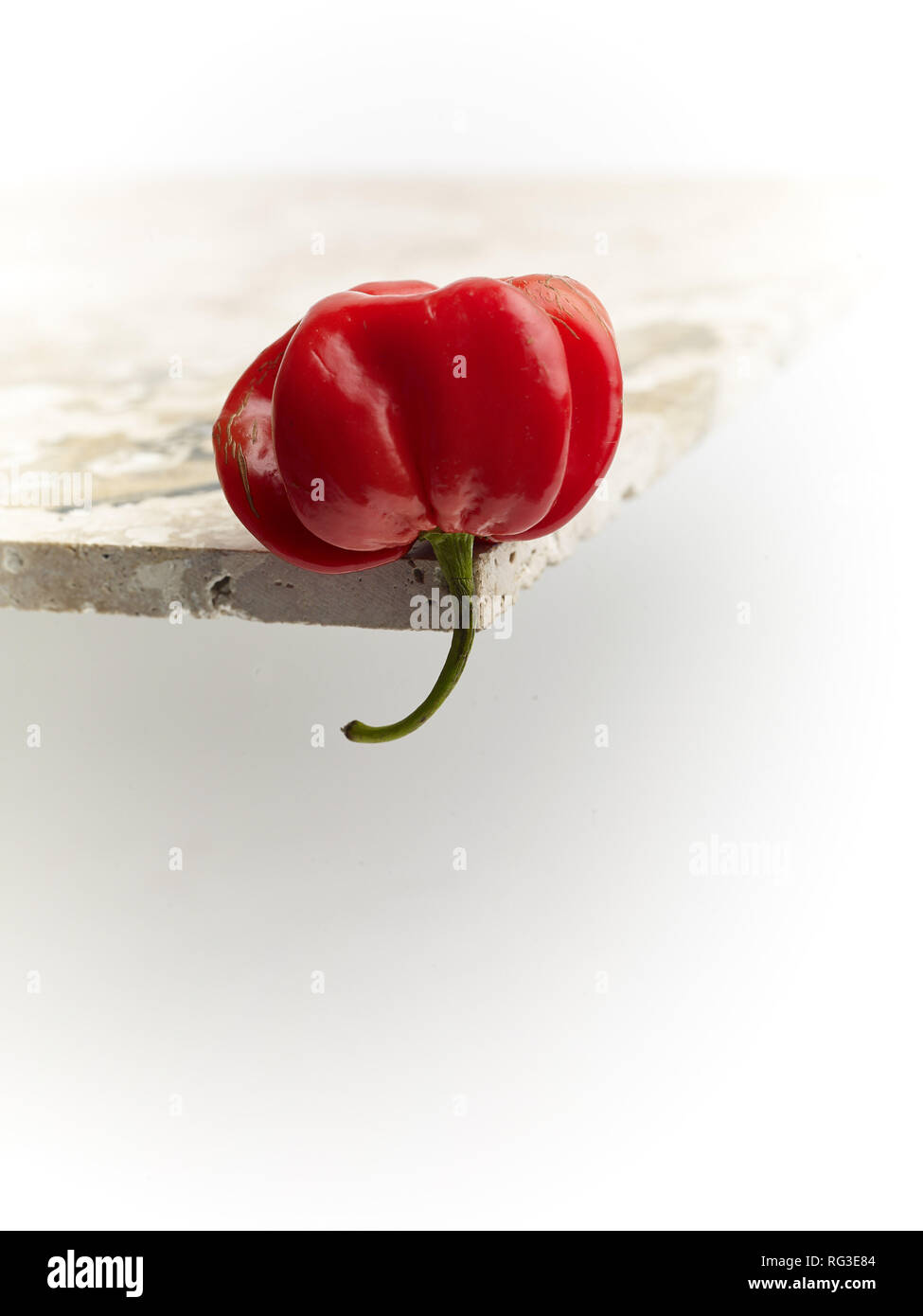 Bunte Scotch Bonnet Chili, Essen still life Foto Stockfoto