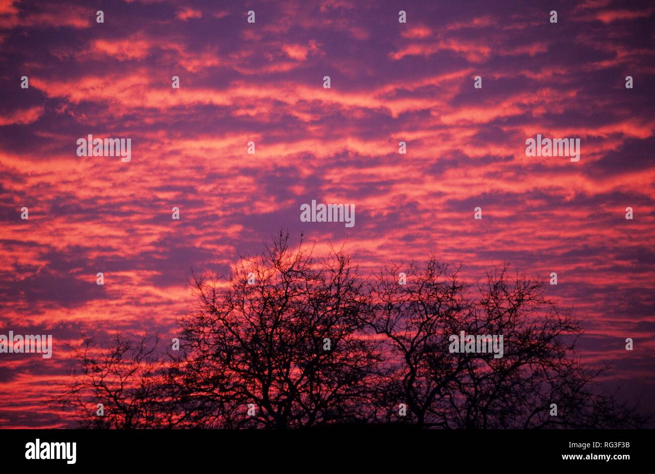 DEU, Deutschland: Sonnenuntergang. Stockfoto