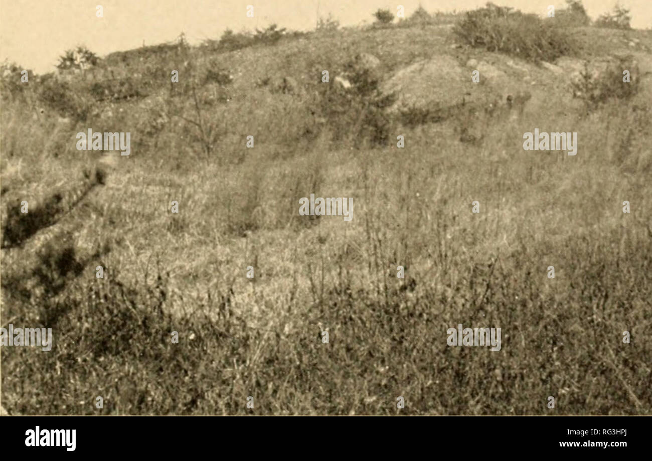 . Calvert County. Geologie. MARYLAND Geological Survey, CALVERT COUNTY, PLATTE XIII. Bitte beachten Sie, dass diese Bilder sind von der gescannten Seite Bilder, die digital für die Lesbarkeit verbessert haben mögen - Färbung und Aussehen dieser Abbildungen können nicht perfekt dem Original ähneln. extrahiert. Maryland Geological Survey; Shattuck, George Burbank, b. 1869; Miller, Benjamin L. (Benjamin LeRoy), 1874-1944; Bonsteel, Jay Allan, 1873; Burke, R.T. Avon; Von Herrmann, Charles F; Grover, Nathan Clifford, 1868 -; Bauer, L.A. (Louis Agricola), 1865-1932; Curran, Hugh M. Baltimore, die Johns Stockfoto