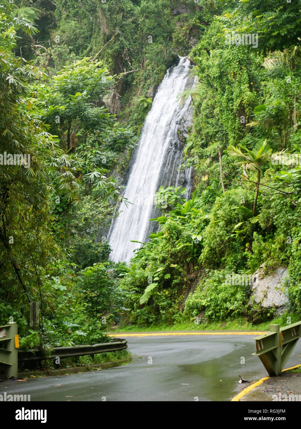 Schönen Wasserfall in El Yunque, Puerto Rico, USA Stockfoto