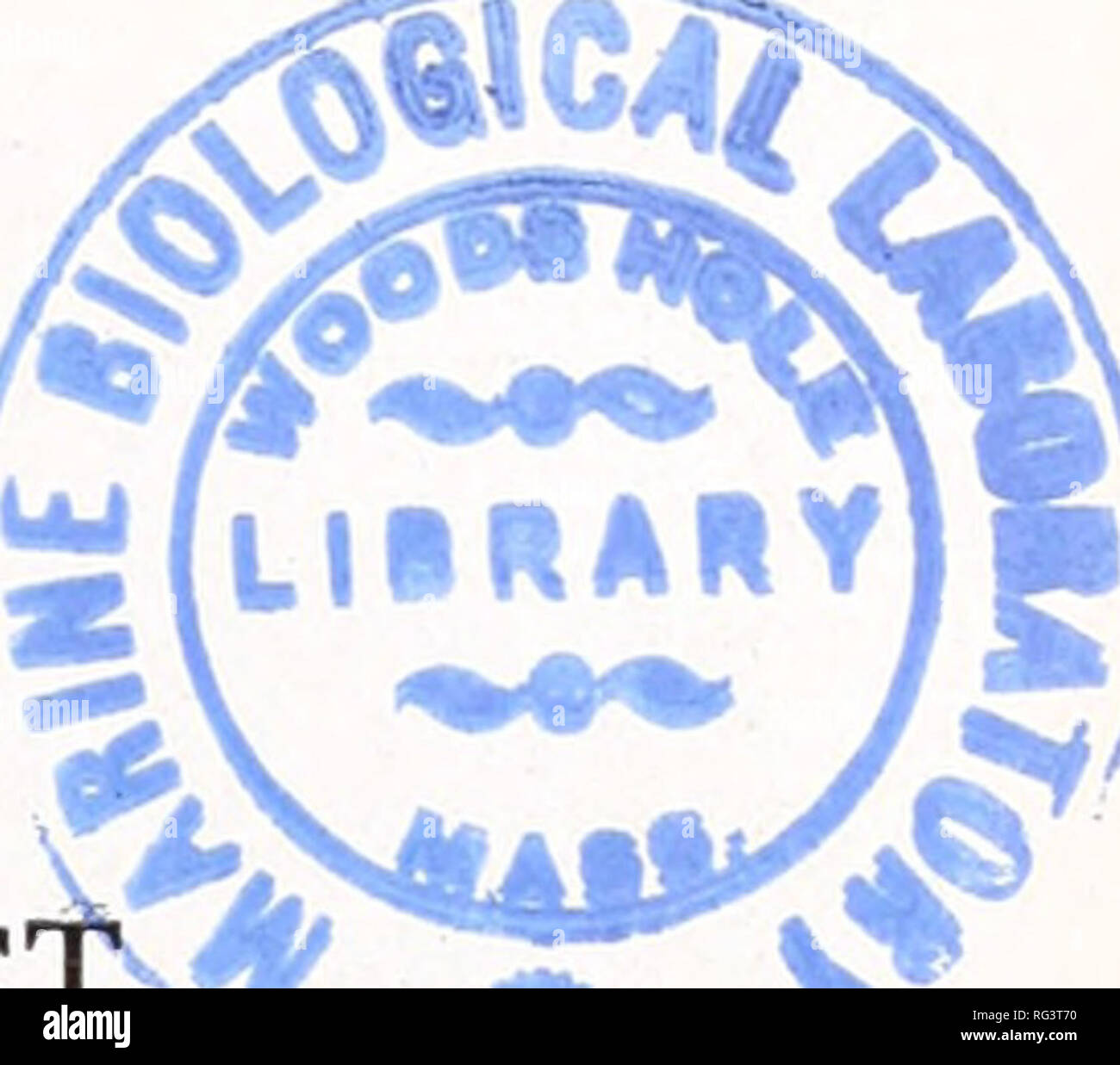 . Die kanadische Feld - naturforscher. Die KANADISCHE FELD-NATURALISTISCHEN^ fjiV. VOL. XXXIII. Dezember, 1919. Nr. 6. CHAMPLAIN'S ASTROLABE. Von Charles Macnamara, Arnprior, Ontario. Das Astrolabium wurde ein Instrument zur Messung der Höhe und relativen Positionen der Himmelskörper. Es war vermutlich durch die herausragende Astron erfunden - gomer der Antike, den Chaldäern, auf jeden Fall auch zu den Griechen und Orientalen, lange bevor Christus bekannt war. Im Wesentlichen bestand es cf eine grrdu- kreis, über den Durchmesser war eine bewegliche Bar, in der Mitte drehbar gelagert. Im Einsatz war das Instrument plumb gehangen, und t Stockfoto