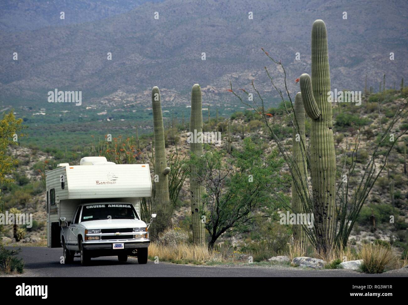 USA, Vereinigte Staaten von Amerika, Arizona: Lagerplatz in den Saguaro National Park. Traveliing in einem Reisemobil, Wohnmobil Stockfoto
