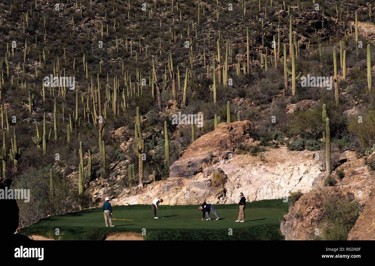 USA, Vereinigte Staaten von Amerika, Arizona: Golf cours in Tucson. 3. Loch an Ventana Canyon Golf und Raquet Club. Stockfoto