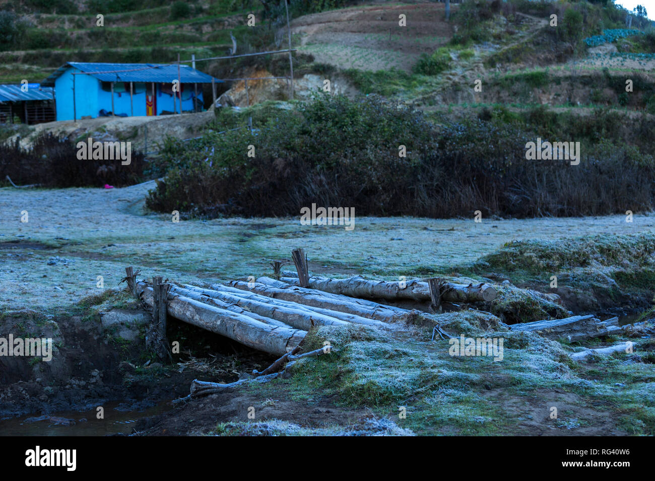 Frost in Munnar Stockfoto