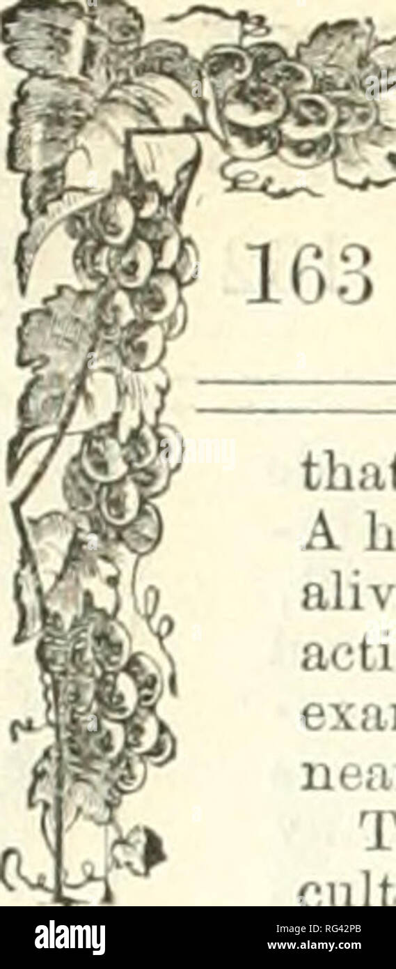 . Kalifornien Landwirt und Live stock Journal. Landwirtschaft - Kalifornien; Nutztiere - Kalifornien; Tier Industrie - Kalifornien. Kalifornien Landwirt und Live Stock Journal. ^1>, dass ein Mann kann seine echten Disposition entdecken. Ein hast 3' Temperament nur setzt sich richtig lebendig; eine iudoleiit iudulger imaginiert er so aktiv ist wie niemand; aber von jedem Schließen und schwere Prüfung kann etwas näher an der Wahrheit entdecken. Denken ist in der Tat, die sehr Keim von Selbst - cultivationâthe Quelle, aus der alle wichtigen intfuence Federn. Denken wird viel für einen aktiven Geist tun, auch ohne o Stockfoto