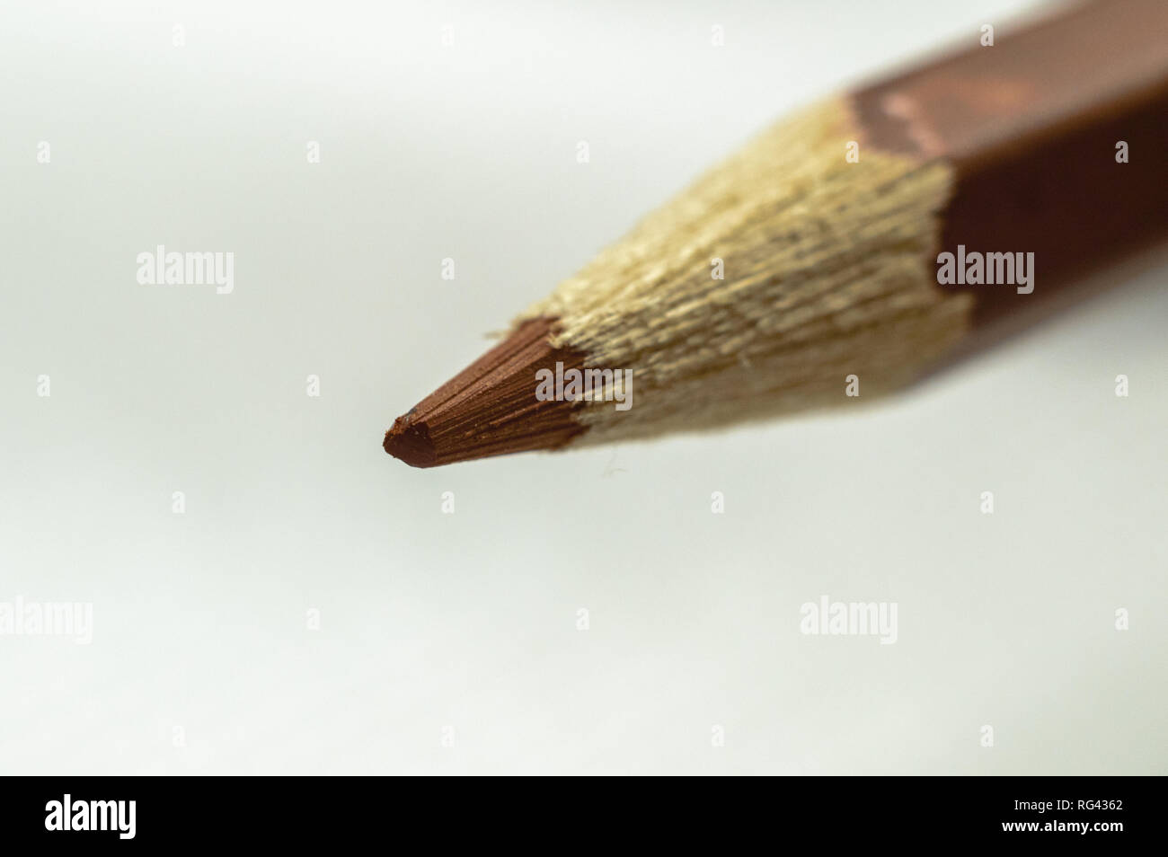 Weißer Hintergrund mit braunen Bleistift Stockfoto