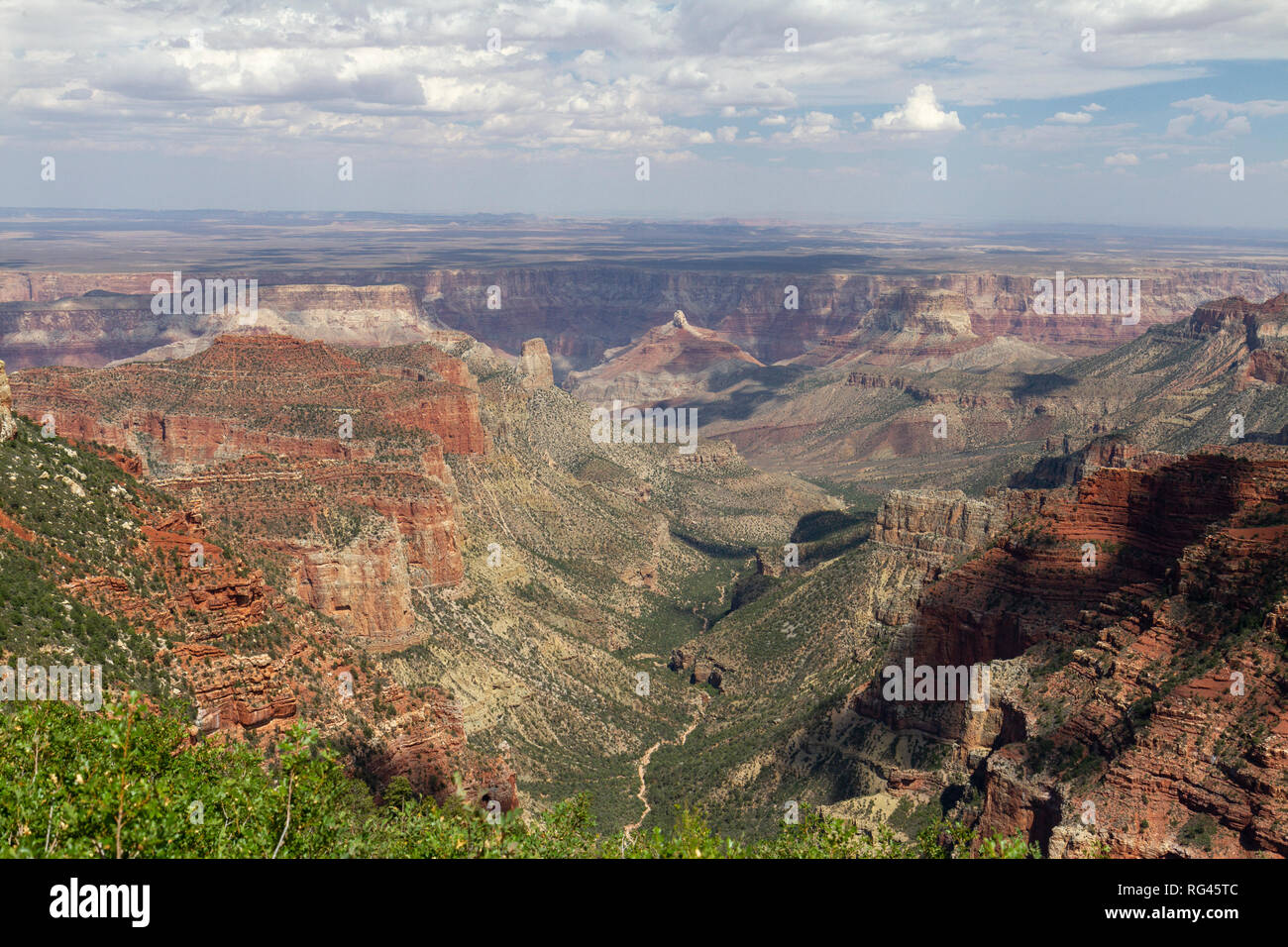 Roosevelt Punkt übersehen, Grand Canyon North Rim, California, United States. Stockfoto