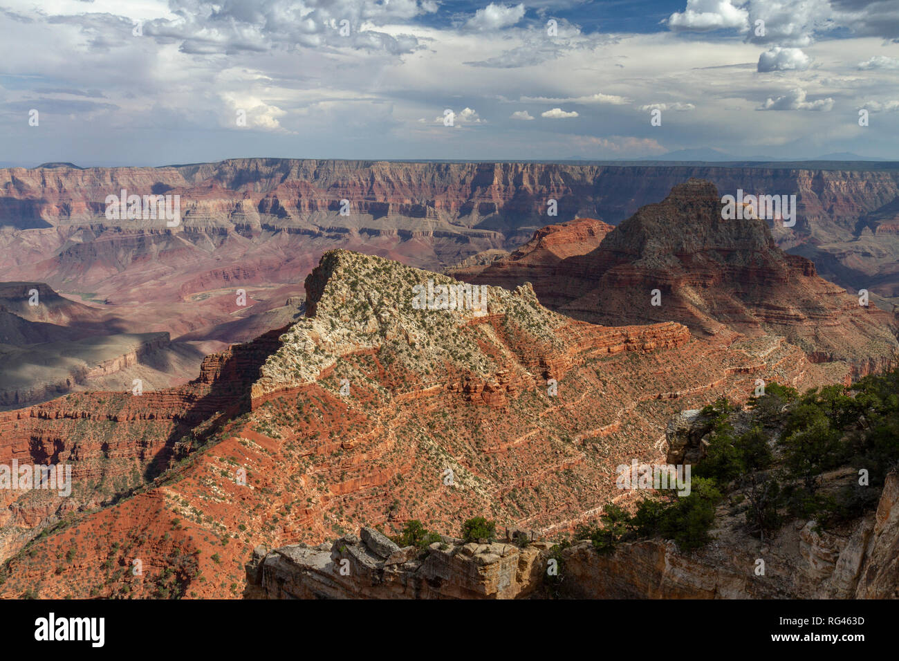 Blick von der Cape Royal in Richtung Freya Schloss und Vishnu Tempel & der Grand Canyon (ca SE), Grand Canyon North Rim, AZ, USA.. Stockfoto