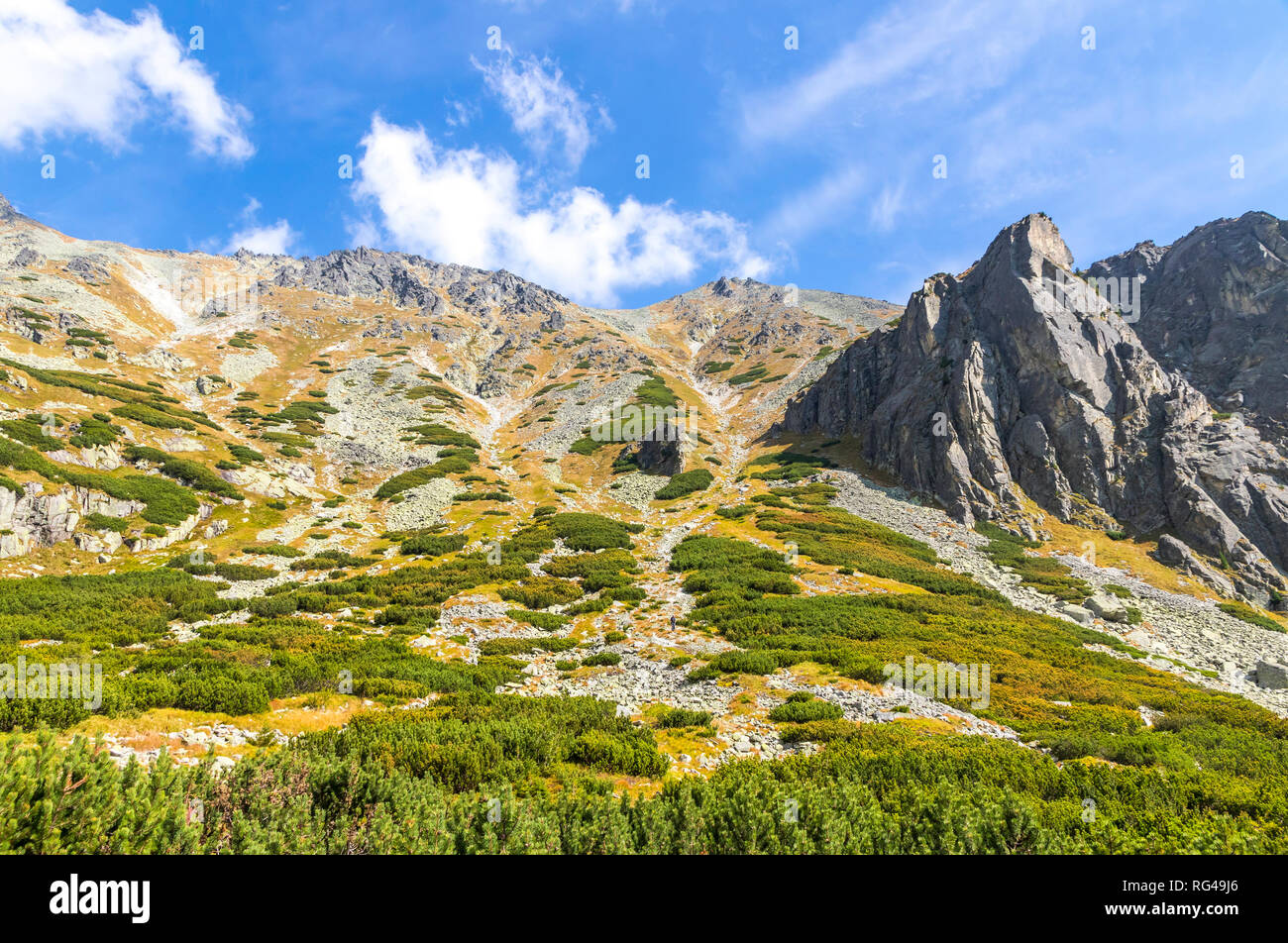 Wandern in der Hohen Tatra (Vysoke Tatry), die Slowakei. Mlynicka Valley. Auf dem Weg zum Wasserfall Skok (1789 m) (Slowakisch: Vodopad) Skok). Sonnige Herbst d Stockfoto