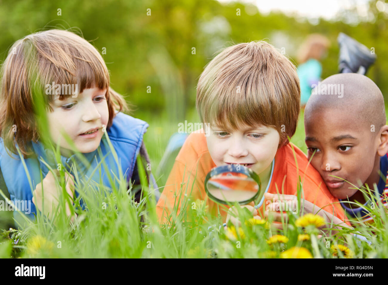 Kinder liegen im Gras und Blick auf die Natur als ein Forscher zusammen mit der Lupe Stockfoto