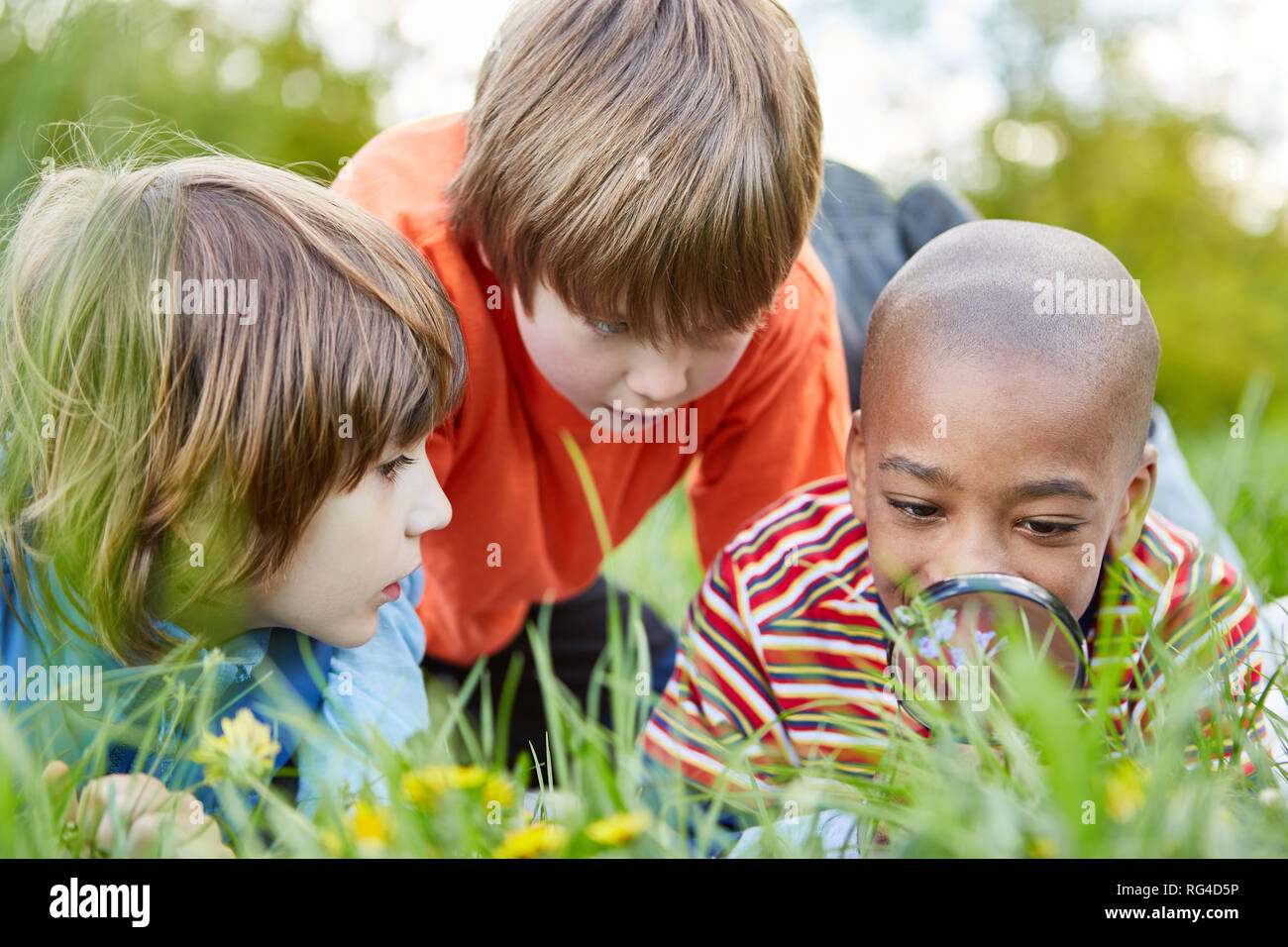Kinder als Schüler und Entdecker mit Lupe Blick auf eine Blume auf der Wiese im Park Stockfoto