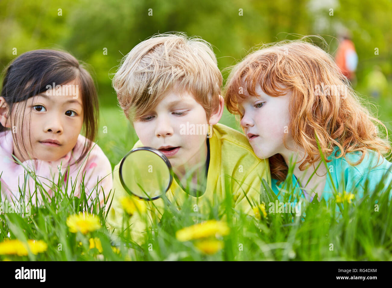 Drei Kinder Natur neugierig erkunden und an den Blumen durch ein Vergrößerungsglas betrachten Stockfoto