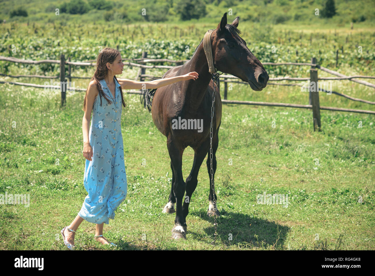 Ihre Treuesten Freund Hubsches Madchen An Horse Ranch Adorable Pferdebesitzer Mit Ihrem Haustier Freundschaften Mit Pferd Freundschaft Und Liebe Junge Frau Mit Stockfotografie Alamy