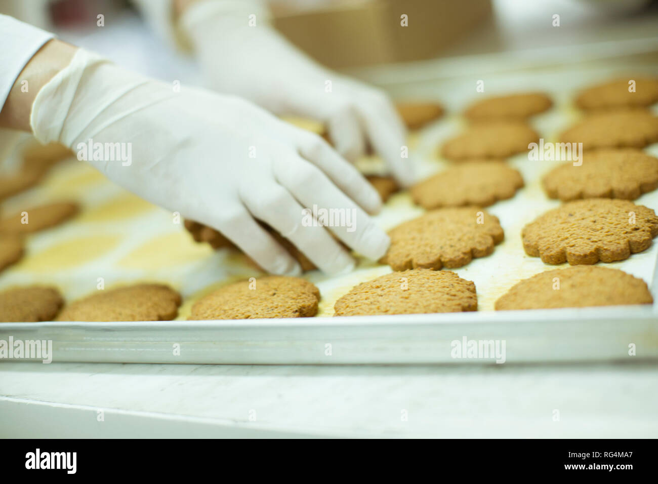 In Schutzkleidung Workier arbeiten in den cookies Factory Stockfoto