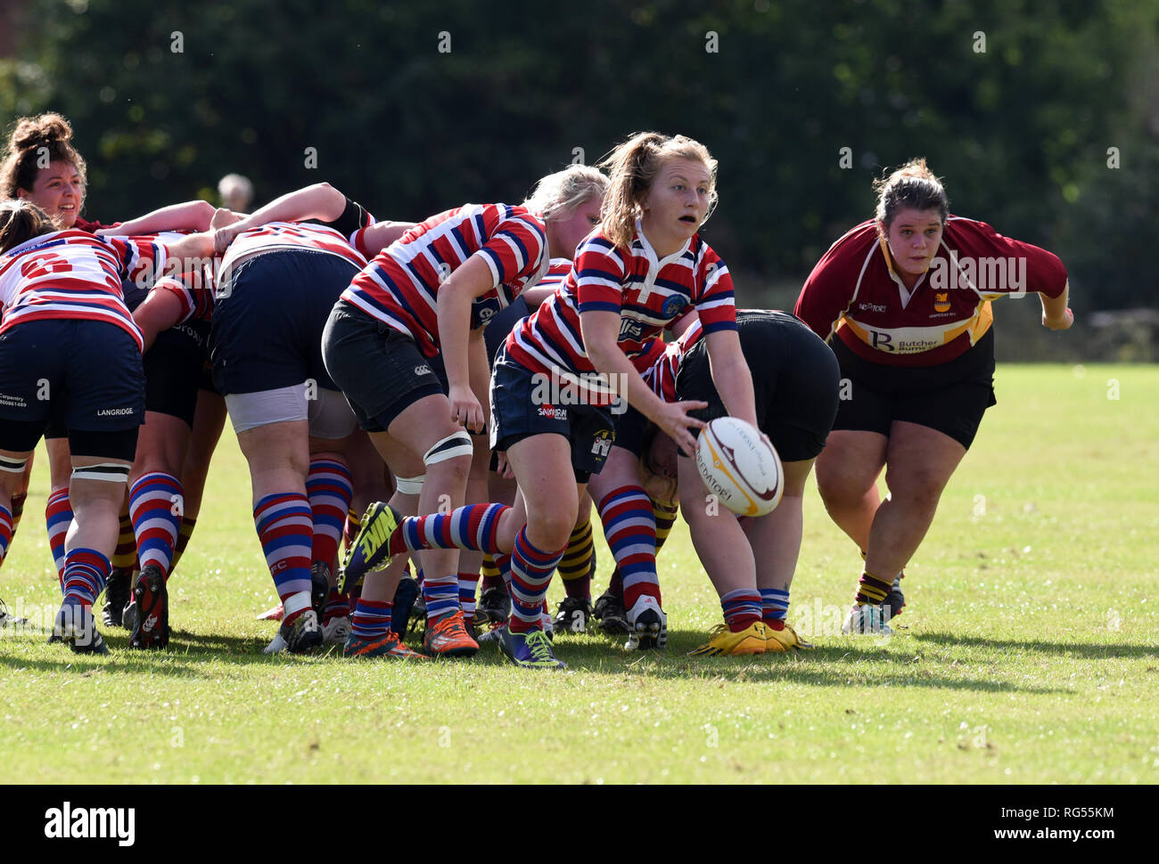 Ladies Amateur rugby union Stockfoto