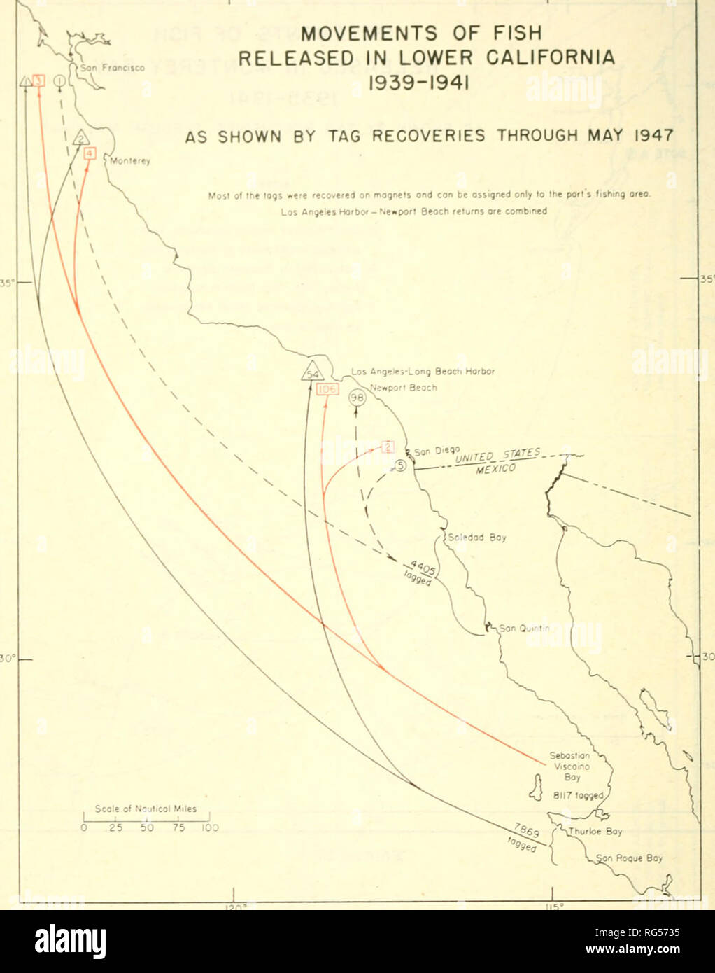 . Kalifornien Fisch und Wild. Fischerei - Kalifornien; Spiel und Spiel - Vögel - Kalifornien; Fische - Kalifornien; Tier Bevölkerungsgruppen; Pêches; Gibier; Poissons. 290 KALIFORNIEN PMSH UND SPIEL ICH BEWEGUNGEN DER FISCHE FREIGEGEBEN IN DER UNTEREN KALIFORNIEN 1939-1941 WIE GEZEIGT DURCH VARIABLE WIEDEREINZIEHUNGEN DURCH MAI 1947 Mosi Der (ogs wurden auf den Magneten wieder con ond nur zu Angeln im Hafen orea zugewiesen werden. Los Angeles Horbor-Newport Beoch liefert Erz kombiniert. Scole von Nouticol Meilen 0 25 50 75 100 Abbildung 81. Bitte beachten Sie, dass diese Bilder aus gescannten Seite Bilder, die digital wurde verbessert haben extrahiert werden Stockfoto