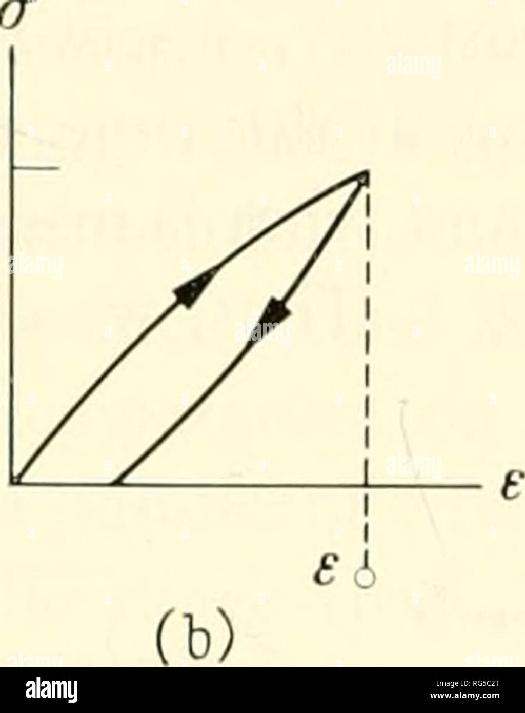. Verkalkten Gewebe; Verfahren. Knochen; Kollagen; Verkalkung. 100 E.D., L. Sedlin Sonnerup HooKE und Newton Körper parallel verbunden. (Kelvin). Die Gründe für die Beseitigung der anderen Modelle ist zu lang für die Präsentation hier. Es ist nicht behauptet, dass das Modell ist eine komplette rheologische Formulierung für das Verhalten von Knochen, aber es ist (a)^ vww-. Bitte beachten Sie, dass diese Bilder sind von der gescannten Seite Bilder, die digital für die Lesbarkeit verbessert haben mögen - Färbung und Aussehen dieser Abbildungen können nicht perfekt dem Original ähneln. extrahiert. Europäisches Symposium über C Stockfoto
