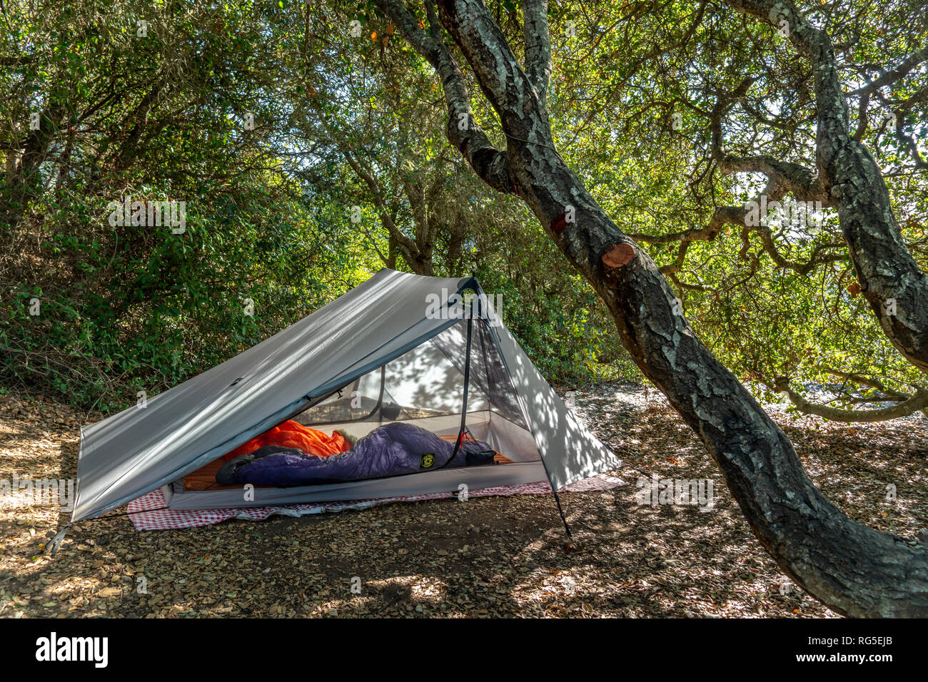 Camping an der Route 1 im nördlichen Kalifornien - Los Padres National Forest Stockfoto