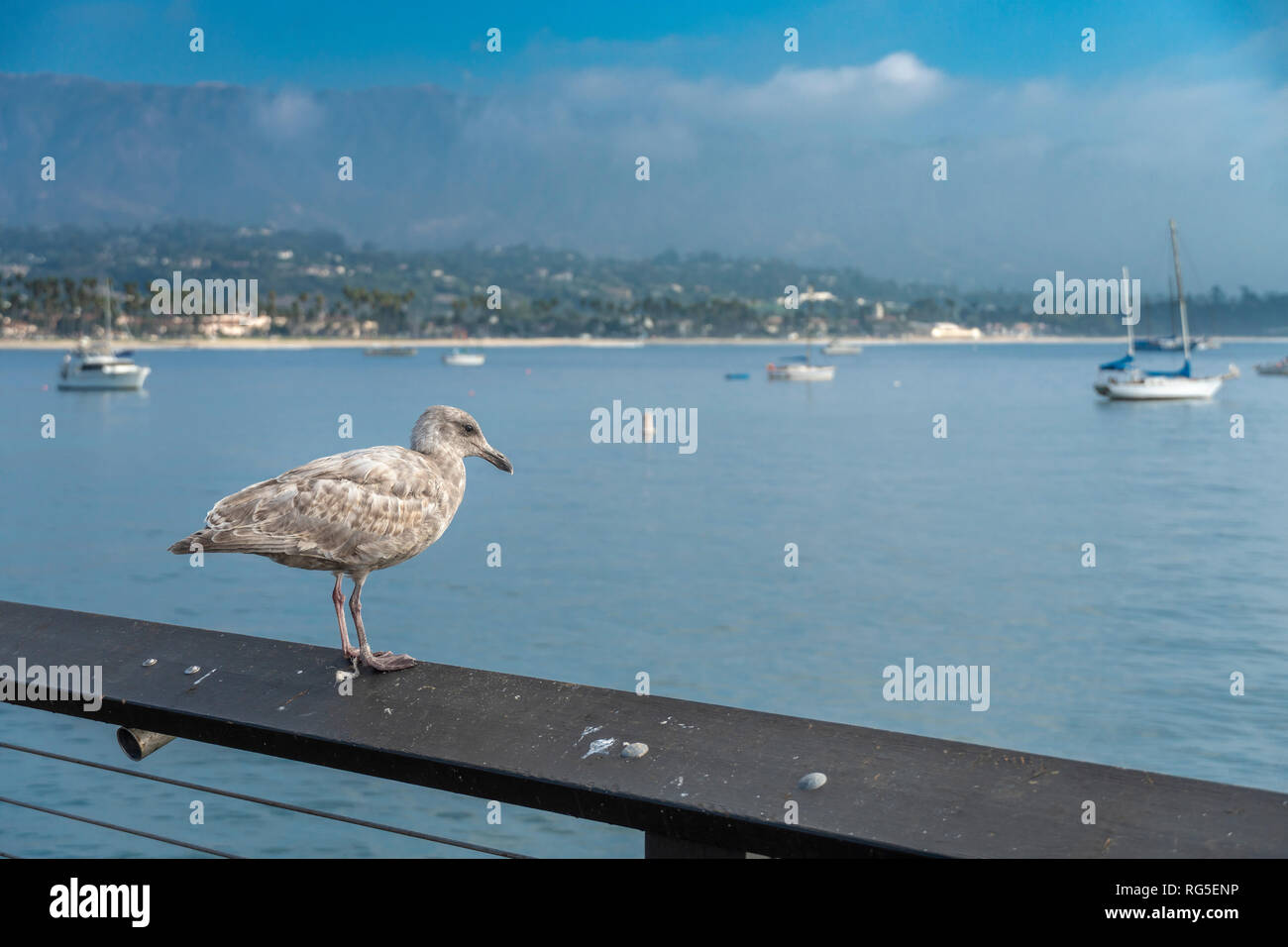 Downtown Santa Barbara - Zentrales Kalifornien Küstenstadt Stockfoto