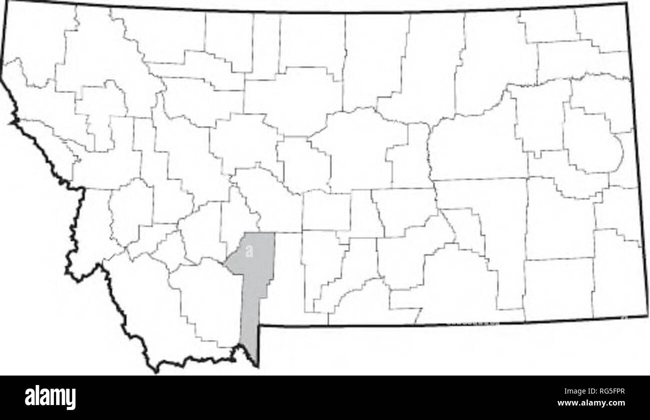 . Eine Planung für den Schutz von Montana Feuchtgebiete und ufernahen Bereichen. Feuchtgebiete; Wetland management; Anrainerstaaten; die ufernahen Bereiche. 2. Gallatin County. Die Gallatin County Wasserqualität Protec- tion Bezirk, auch unter den DEQ Feuchtgebiete Programm finanziert, arbeitet ein County wide GIS-Datenbank con - das historische und aktuelle Feuchtgebiete Informationen für die Verwendung durch Behörden, Entwickler, Eigentümer zu schaffen, und die allgemeine Öffentlichkeit. Dieses Projekt ist auch. schiefergedeckt, zu identifizieren und zu bewerten, und Feuchtgebieten ar priorisieren - eas innerhalb der Gallatin Valley und Bozeman Nebenfluss-wasserscheide, die drohen, Stockfoto