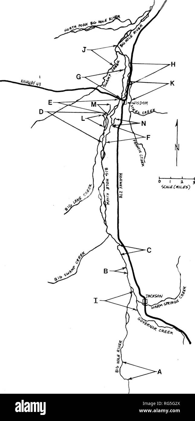 . Verteilung, relative Fülle und Lebensraum Die Nutzung der arktische Äsche (Thymallus arcticus) im oberen Loch River Drainage, Montana: 5. Juli bis September 8, 1988. Arktische Äsche. Seite 11 Abbildung 1. Karte von der oberen Big Hole River Drainage, zeigt Sample Abschnitt elektrofischerei Befragungen durchgeführt wurden. '. Bitte beachten Sie, dass diese Bilder sind von der gescannten Seite Bilder, die digital für die Lesbarkeit verbessert haben mögen - Färbung und Aussehen dieser Abbildungen können nicht perfekt dem Original ähneln. extrahiert. Skaar, Don; Montana natürlichen Erbes Programm; Beav Stockfoto