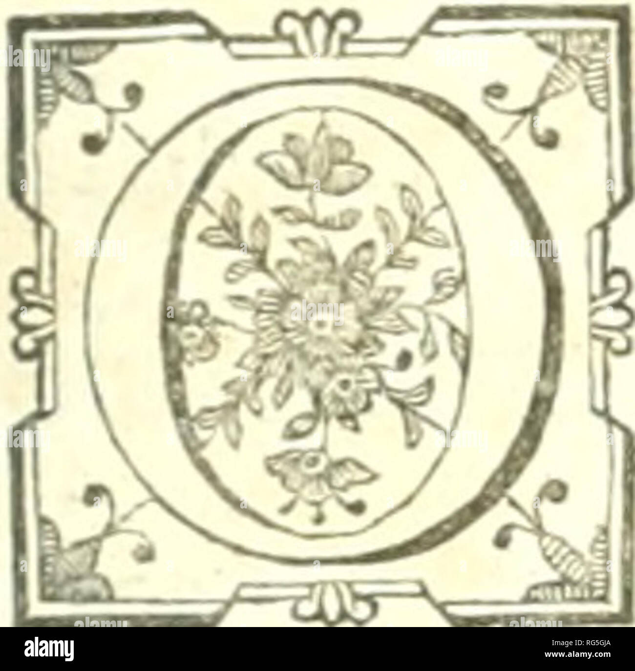 . Les Oeuvres de Herr de Maupertuis. Wissenschaft; Sprache und Sprachen; Ethik. Ein MONSIEUR DUVELAER DIRECTEUR DE LA COMPAGNIE DES INDES EIN PARIS.. In Dekor sterben fes Livres à des Princes pour augmenter fa Vermögen; les Einrichtung sterben À desSÃ § avants pour Ã©tendre lÃ rÃ©putation: Je vous Einrichtung sterben ce-Lui-cy pour les fatisfaire fentiments de Mon Coeur. Ce IÖW ¯ eft pas que vous ne puifÃ¯À® ez loin dauflÃ® grands Dienstleistungen que les Princes, ni que le jugement que vous portez d'un ouvrage, ne puifÃ® e afliirer la rÃ©putation d'un Auteur peut Ãªtre - ein 3. Bitte beachten Sie, dass diese Bilder aus gescannten Seite imag extrahiert werden Stockfoto