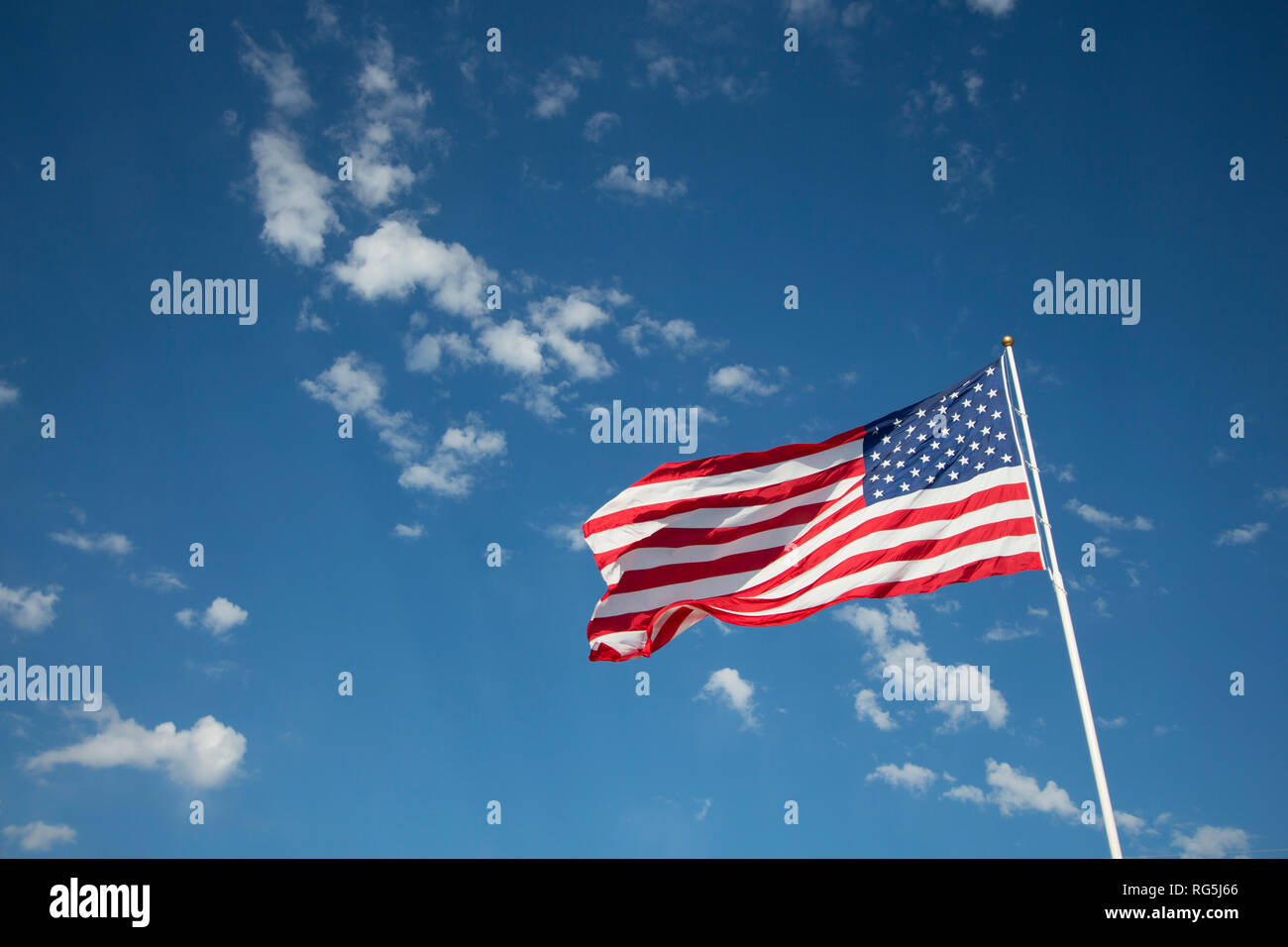 Flagge der Vereinigten Staaten von Amerika stolz weht im Wind. Stockfoto