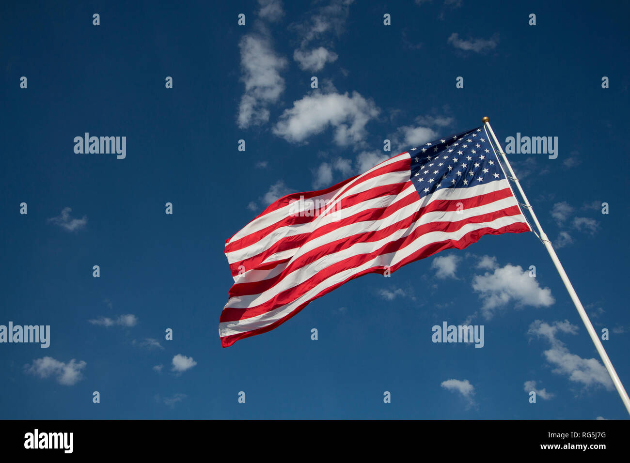 Flagge der Vereinigten Staaten von Amerika stolz weht im Wind. Stockfoto