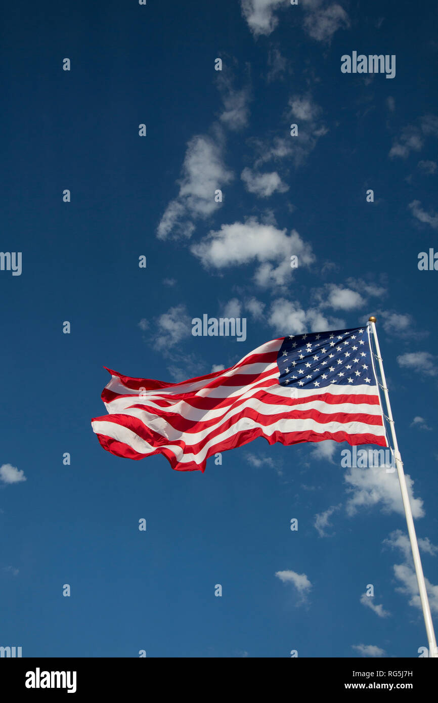 Flagge der Vereinigten Staaten von Amerika stolz weht im Wind. Stockfoto