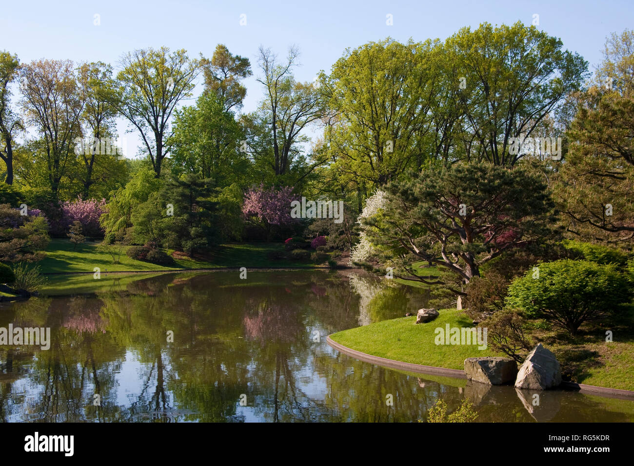 65021-03510 Japanische Gärten im Frühjahr, Missouri Botanical Gardens, St. Louis, MO Stockfoto