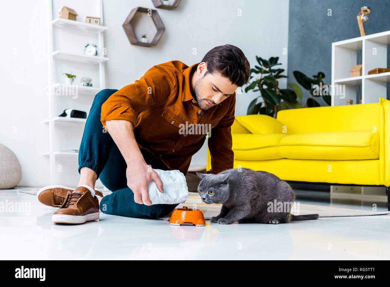 Junger Mann Fütterung Grau Britisch Kurzhaar Katze Im