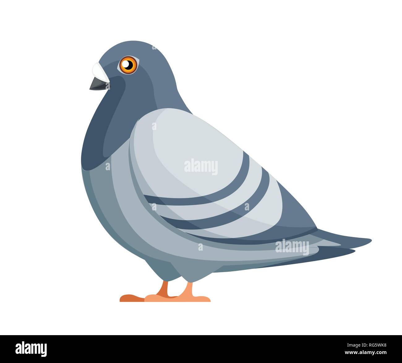 Taube Vogel sitzen. Flache Cartoon Character Design. Bunter Vogel Symbol. Süße taube Vorlage. Vector Illustration auf weißem Hintergrund. Stock Vektor