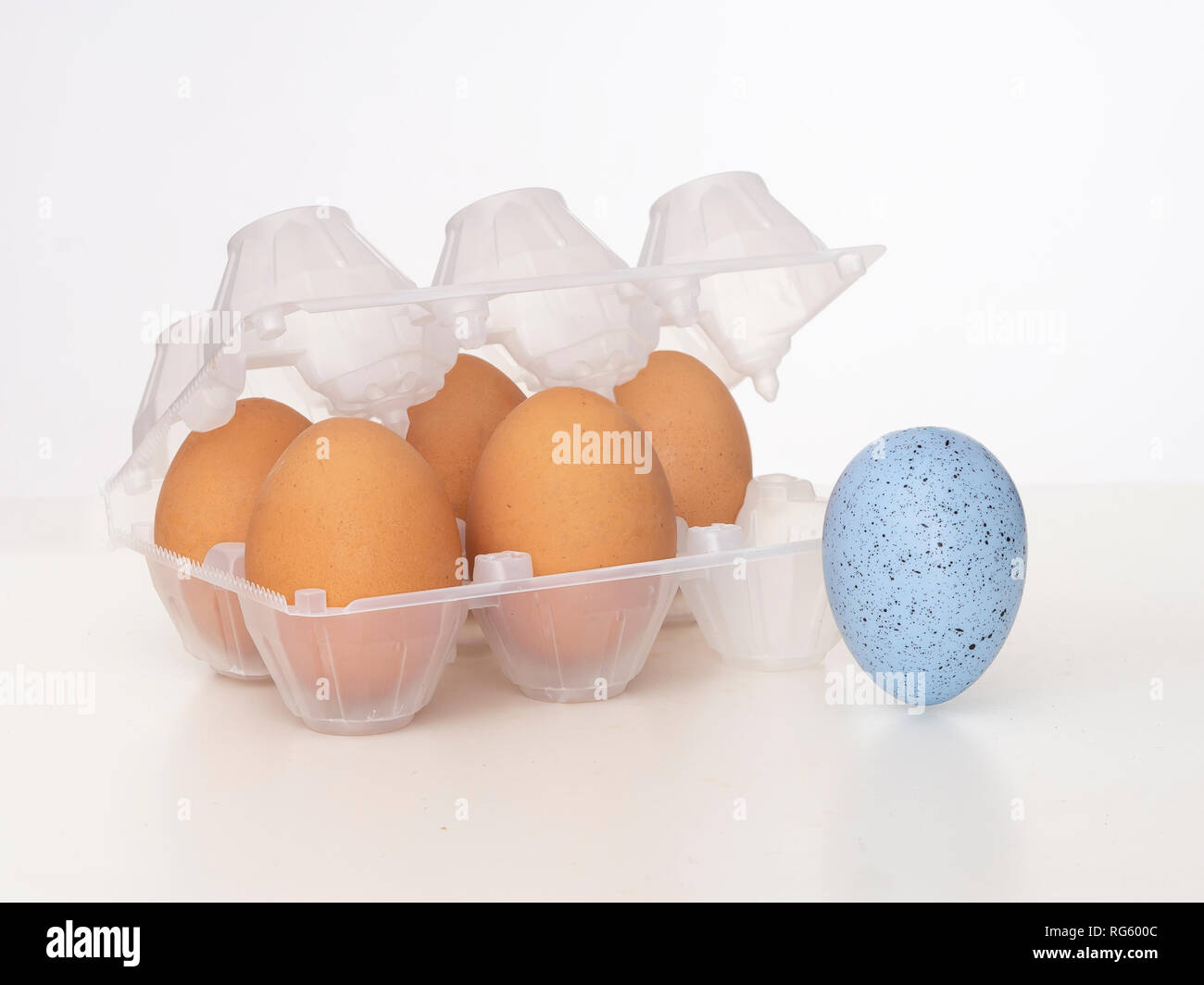 Individualität, Einzigartigkeit, Differenz und Vielfalt. Eine schöne blaue Eier in der Nähe von Kunststoff eggbox mit normalen Braunen. Auf weiß. Wagen es, anders zu sein Stockfoto