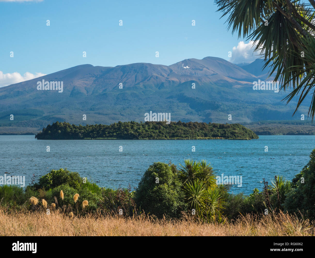 Motuopuhi Insel, betrachtet aus Opotaka historische Māori Siedlungsplatz, See Rotoaira, Tongariro, Neuseeland Stockfoto