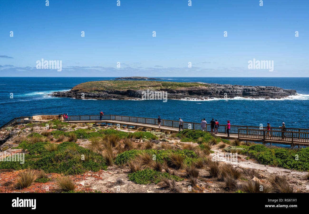 Blick auf Cape du Couedic mit Casuarina Inselchen und Boardwalk bewundernswert Arch auf Kangaroo Island in SA Australien Stockfoto