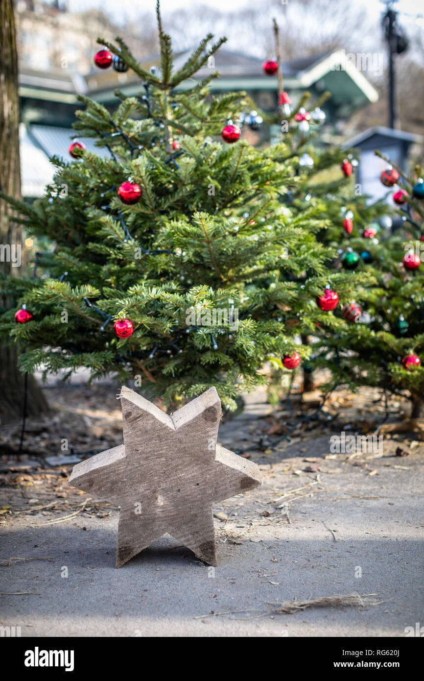 Holz- Stern vor der Weihnachtsbäume in der Straße, Schweiz Stockfoto