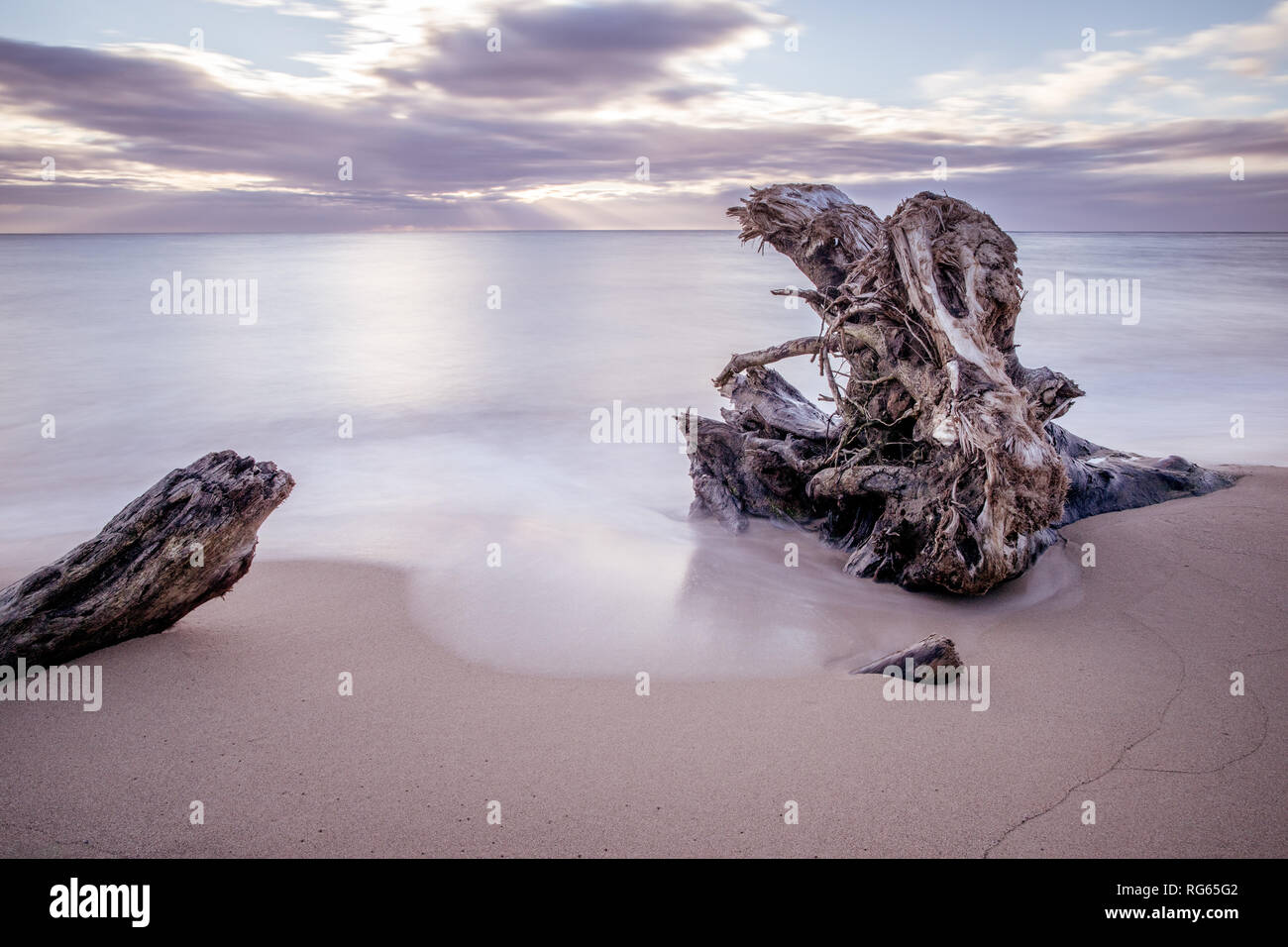 Treibholz auf Wailua Beach, Kauai, Hawaii, in weichen Morgenlicht mit glatten, seidigen Wasser und Wellen. Stockfoto