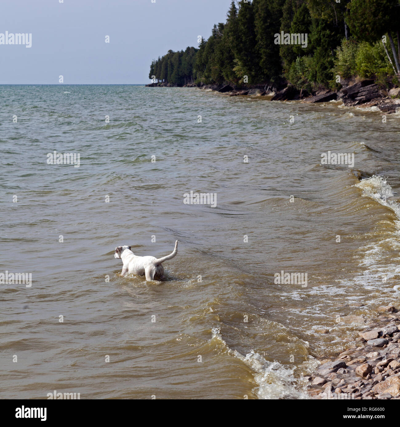 Lake Michigan ist die zentrale Anlaufstelle für Ferien in Door County, Wisconsin. Stockfoto