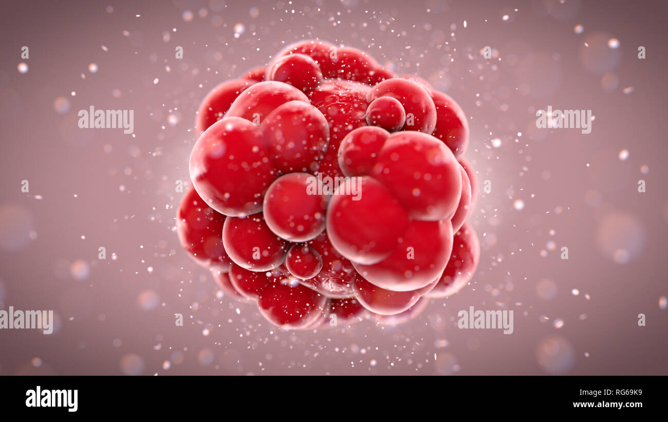 Ein Makro Nahaufnahme von einem roten Fleisch Zelle in einem Körper mit verschiedenen großen Tumoren verbunden - 3D-Rendering Stockfoto