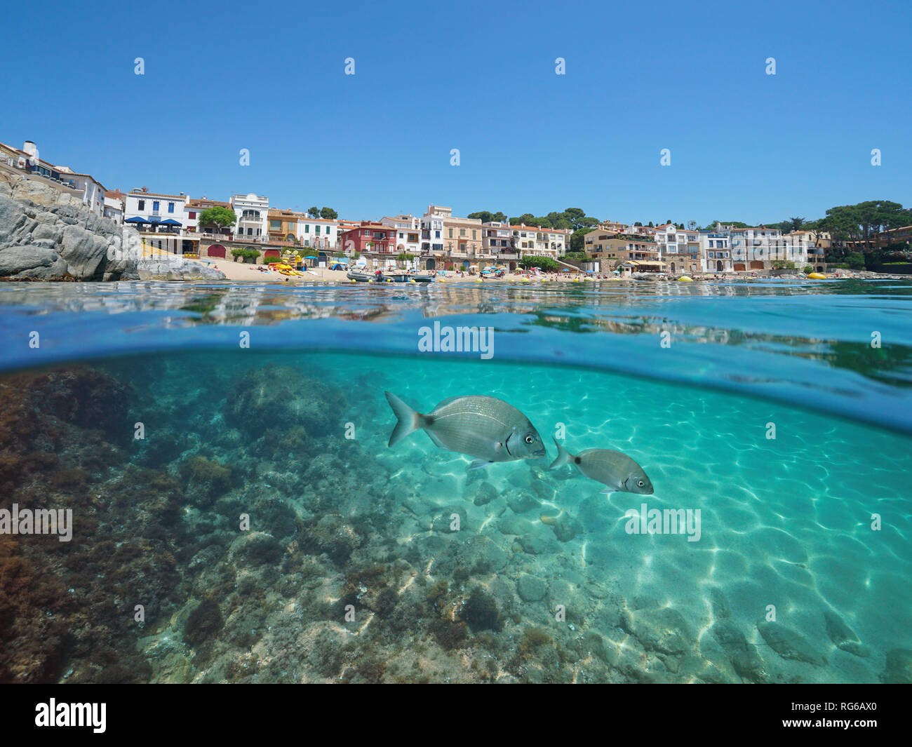 Spanien Küste in Calella de Palafrugell Dorf mit Fisch, Unterwasser, Mittelmeer, Costa Brava, Katalonien, geteilte Ansicht über und unter Wasser Stockfoto